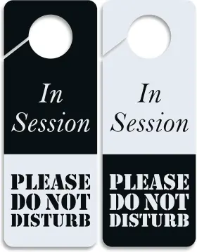 Clever Signs 763236859711 Business Design Do Not Disturb Sign - In Session 2 Pack Double Sided White