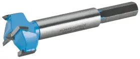 Dc1853 Roman Carbide 754001000605 Forstner Bit 1-1/16-inch