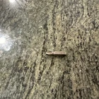 Snap On SDM2231RB #3 Phillips Acr 1/4 Hex Shank Bit New. Price: $27.95.
