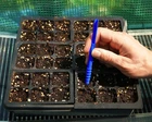 Little Dibby Sowing Tool Precision Garden Dibber For Planting &. Price: $26.99.