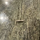 Snap On SDM2221RB #2 Phillips Acr 1/4 Hex Shank Bit New. Price: $27.95.