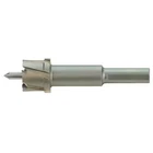 Milwaukee Tool 49-57-8106 1-1/16 In. One Piece 1/2 Shank Steel Hawg Cutter New. Price: $79.99.