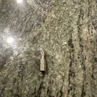 Snap On SDM2211RB #1 Phillips Acr 1/4 Hex Shank Bit New. Price: $27.95.