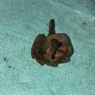 Milwaukee 48-25-2561 2-9/16 65MM Large Shank Bit Hole Saw Self Feed Used. Price: $10.00.