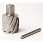 Slugger By Fein 63134381041 Annular CUTTER,1.5IN,HSS 52JJ47 New. Price: $131.21.