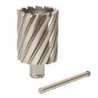 Slugger By Fein 63134269042 Annular Cutter, 1-1/16" Dia., 2" Cutting New. Price: $82.85.